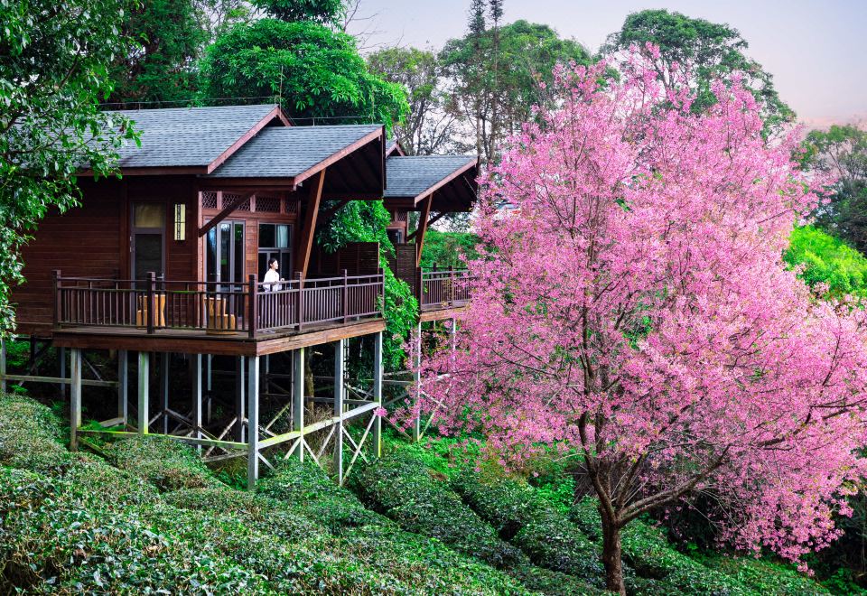 木屋别墅定制实木(图1)