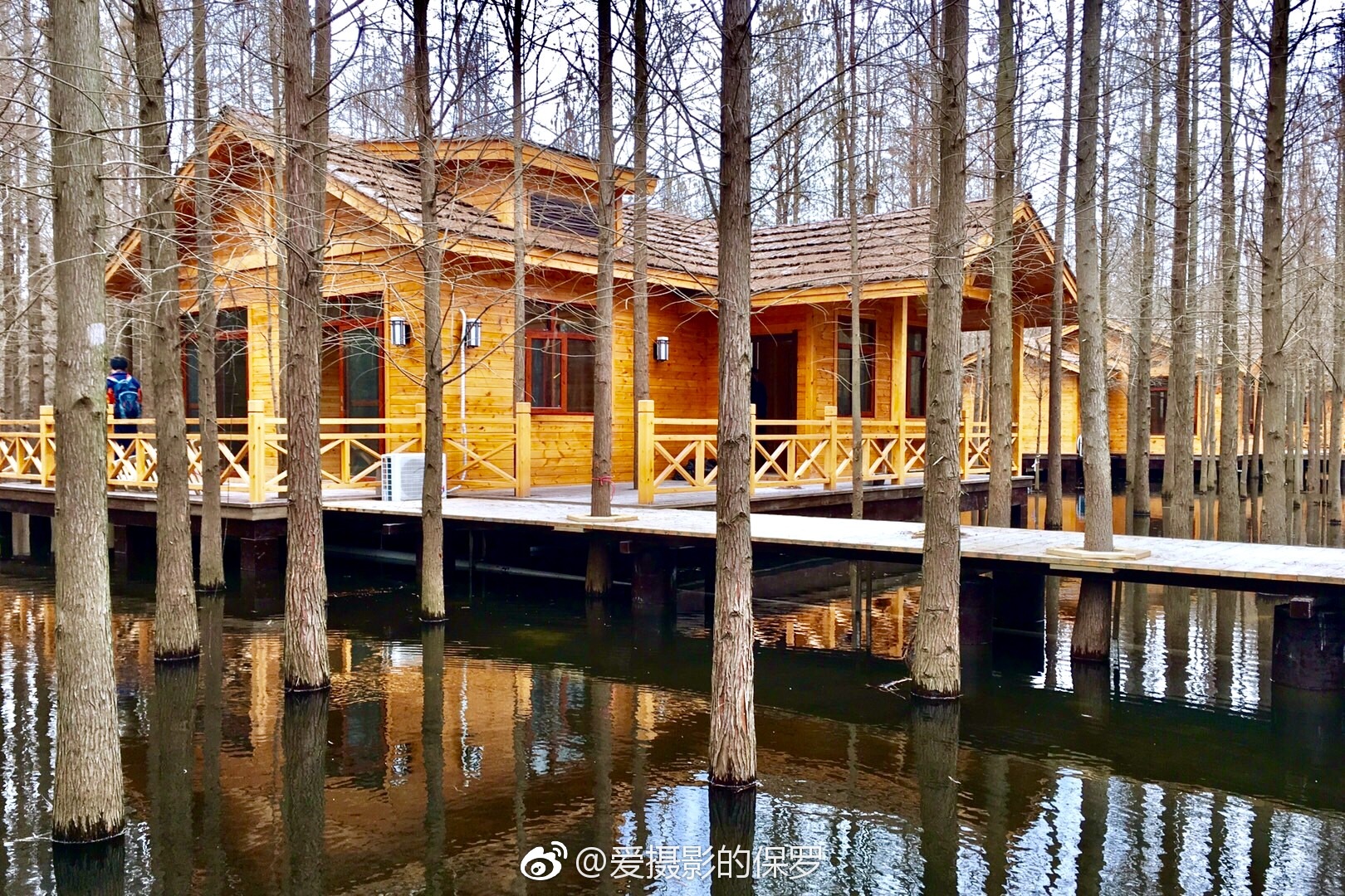 活力中国调研行｜多面宁夏：葡萄酒“红”到海外沙漠“长”出算力(图1)